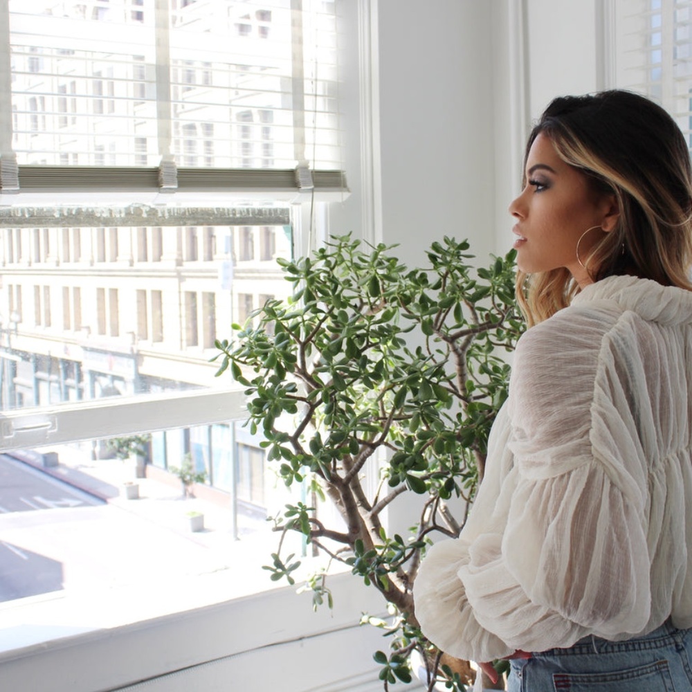 Neutral Sheer Blouse - Picture 2 of 2